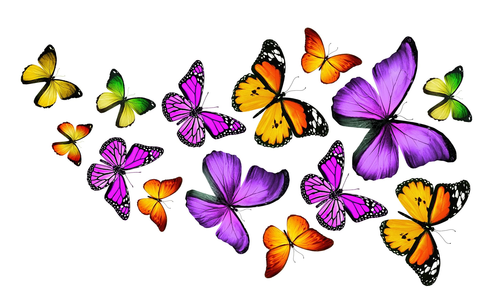 /Files/image/3577b220-8cfe-58b1-9b60-6fc38b43c5cd_1.jpg /Files/image/3577b220-8cfe-58b1-9b60-6fc38b43c5cd_1.jpg